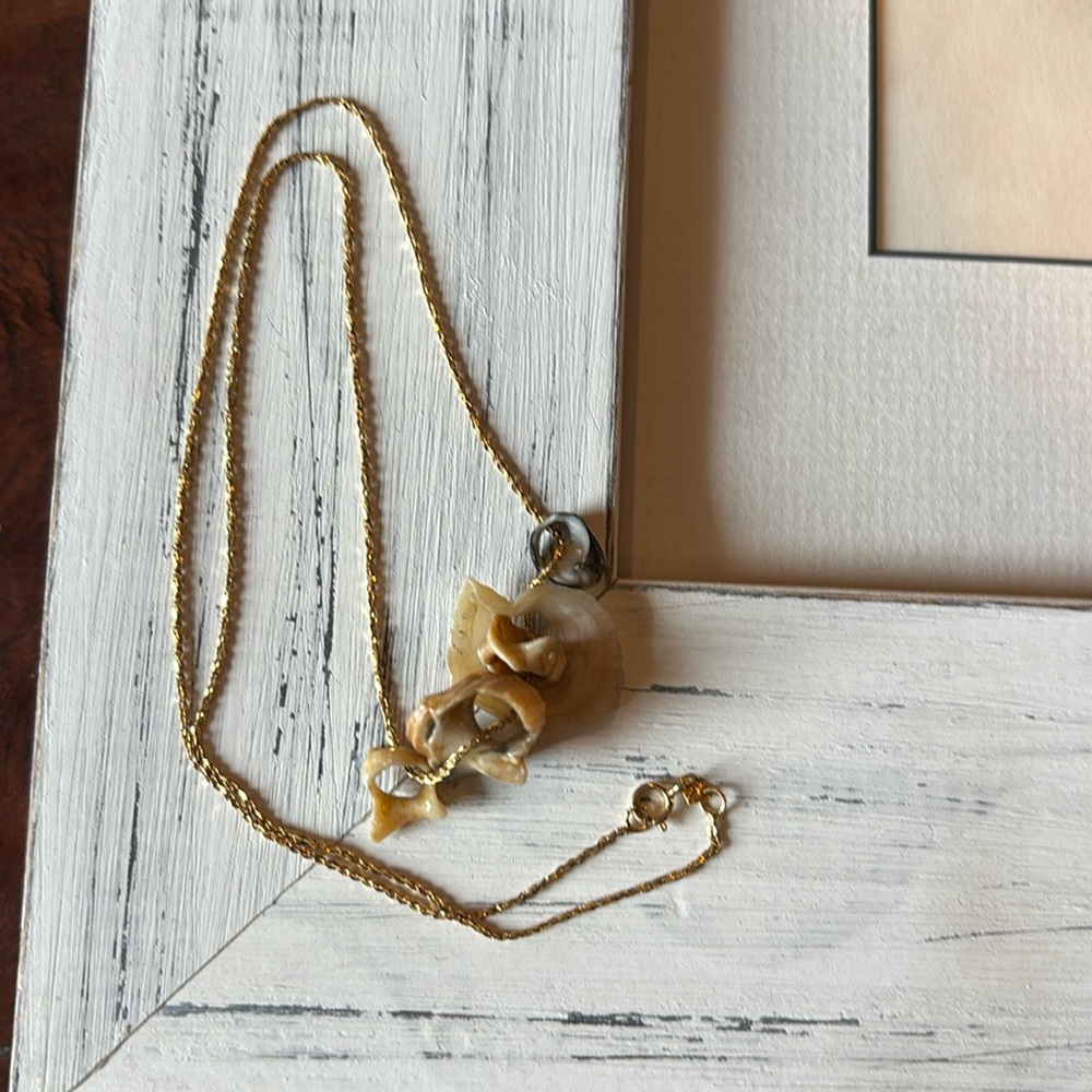 14kt yellow gold chain with shells
